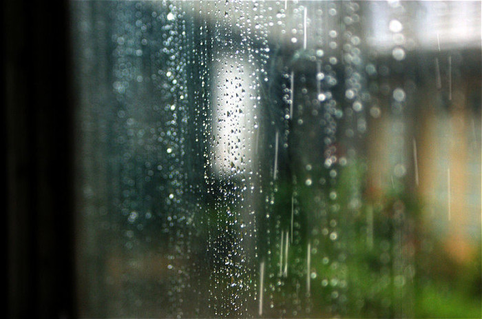Rain on window
