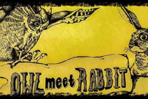 Folking Around with Owl Meet Rabbit