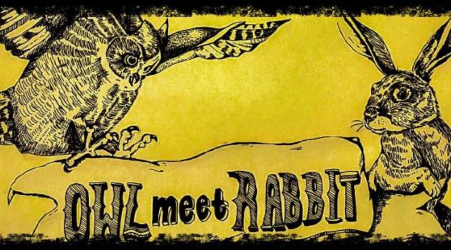 Folking Around with Owl Meet Rabbit