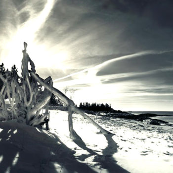 Christopher O’Donnell