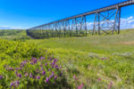 Lethbridge — Alberta — Canada