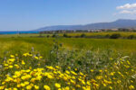 Latchi — Cyprus