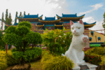 Kuching — Malaysia