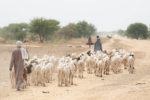 Moundou — Chad