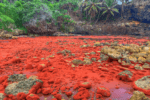 Poon Saan — Christmas Island