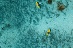Amuri — Cook Islands