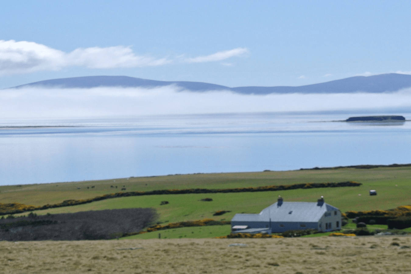 Hill Cove — Falkland Islands Zo Magazine