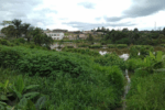 Oyem — Gabon