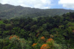 Arima — Trinidad and Tobago
