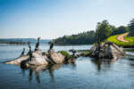 Jinja — Uganda