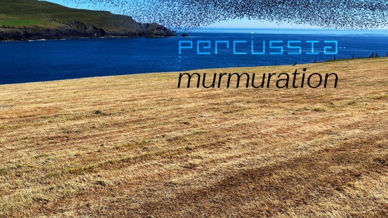 Percussia – Murmuration