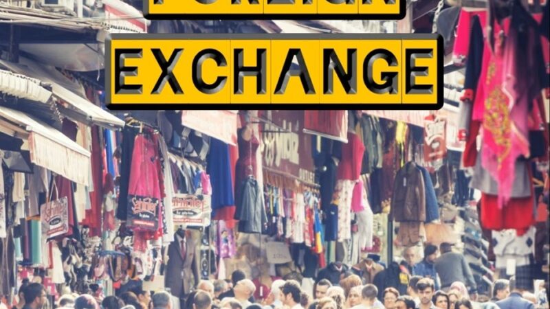 Foreign Exchange Single Cover