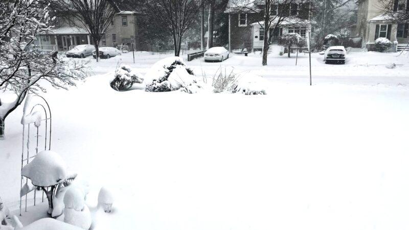 Winter Wonderland – Tara Cotter’ Nesci 1